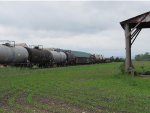 Tank cars and gondolas